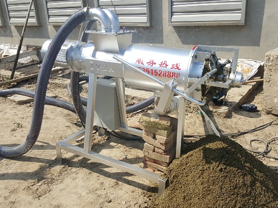 雞糞快播视频在线观看機